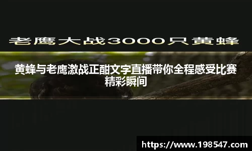 黄蜂与老鹰激战正酣文字直播带你全程感受比赛精彩瞬间